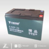 Batería para vehículo eléctrico Tianneng - Image 3